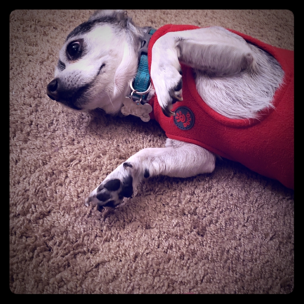 Meet your Posher, Jessica